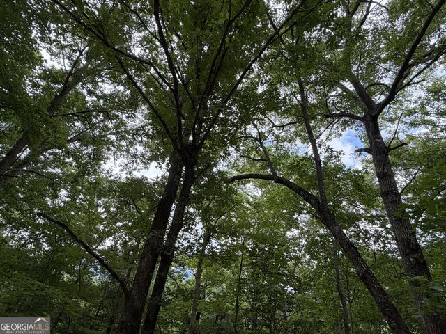 4.63 Twiggs Road, Hiawassee, GA 30546