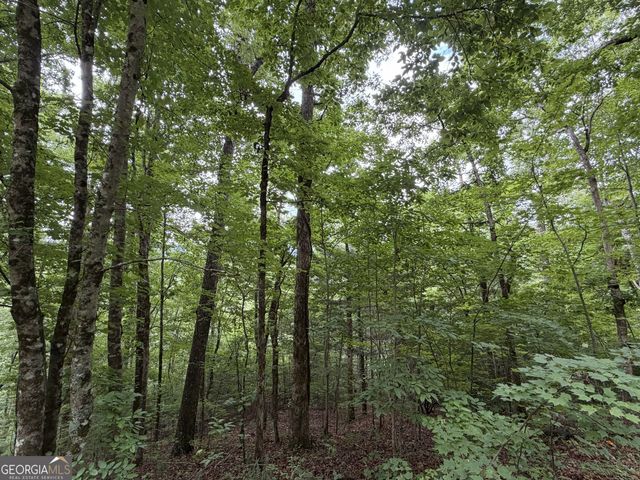 4.63 Twiggs Road, Hiawassee, GA 30546