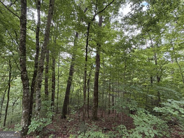 4.63 Twiggs Road, Hiawassee, GA 30546