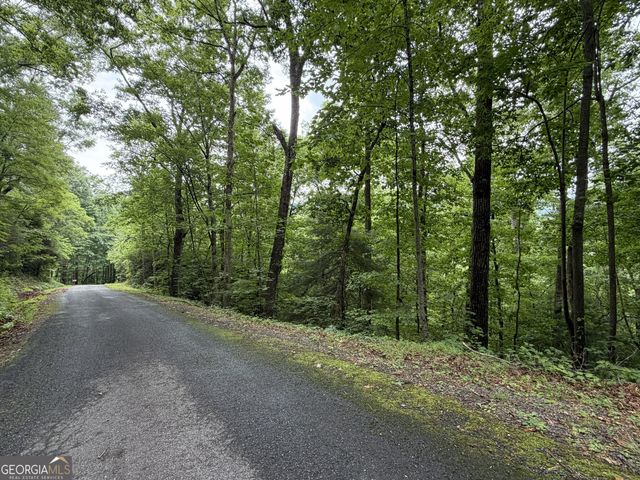 4.63 Twiggs Road, Hiawassee, GA 30546