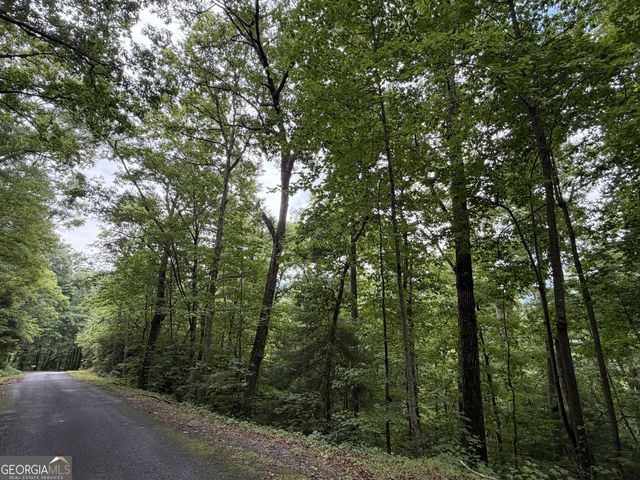 4.63 Twiggs Road, Hiawassee, GA 30546
