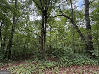 4.63 Twiggs Road, Hiawassee, GA 30546