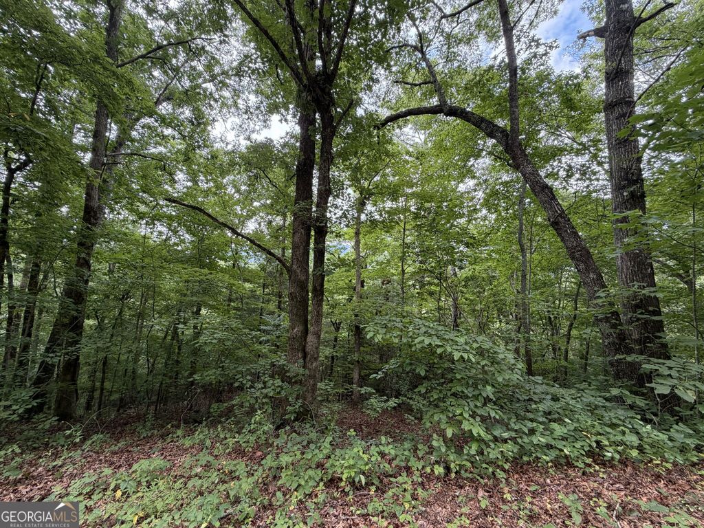 4.63 Twiggs Road, Hiawassee, GA 30546