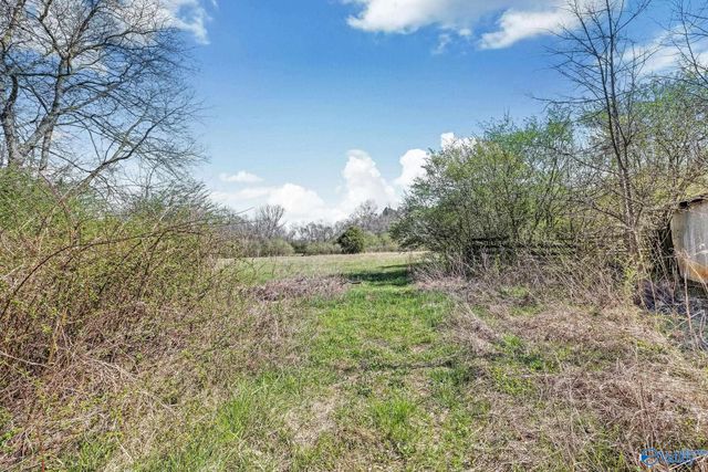 3490 County Road 131, Town Creek, AL 35672