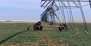 Hartley, TX 79044, Hartley, TX 79044