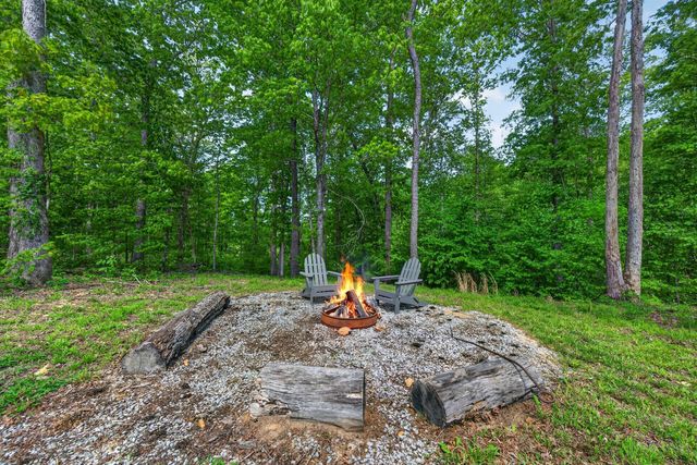 1030 Johnson Hollow Rd, Mc Ewen, TN 37101