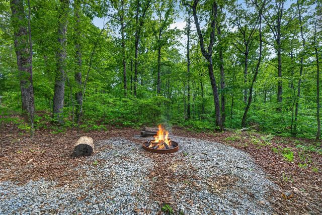 1030 Johnson Hollow Rd, Mc Ewen, TN 37101