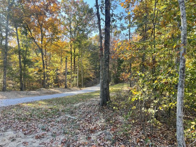 1030 Johnson Hollow Rd, Mc Ewen, TN 37101