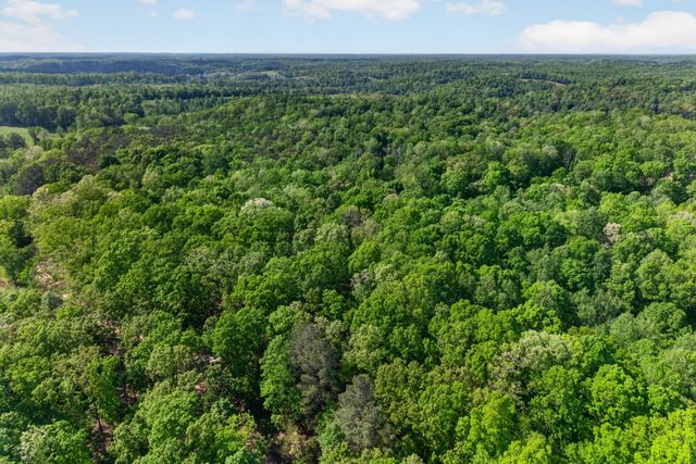 1030 Johnson Hollow Rd, Mc Ewen, TN 37101