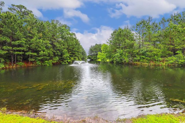 263 Walden Lake Rd., Conway, SC 29526