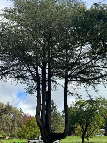 4300 Cereda Ln, Fairfield, CA 94534