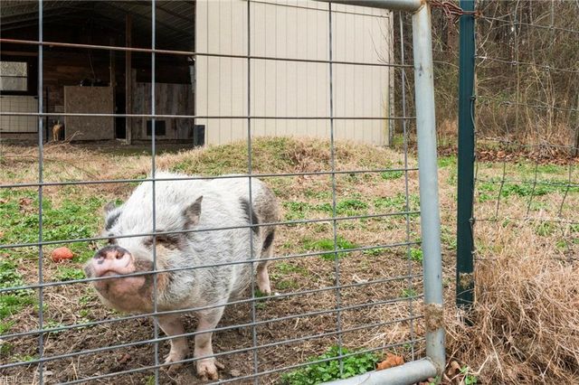 10095 Ivor RD, Ivor, VA 23866