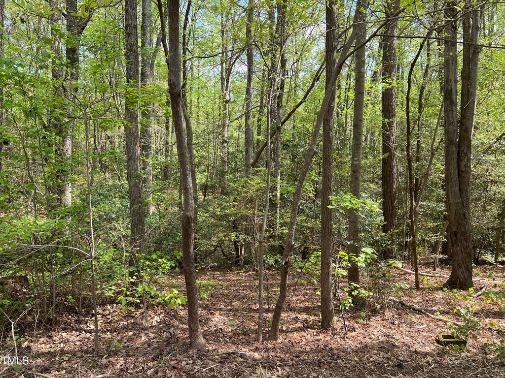 413 Back Bay, Sanford, NC 27332