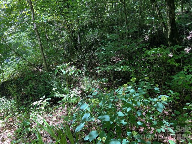 0 Old Johns River Road, Collettsville, NC 28611