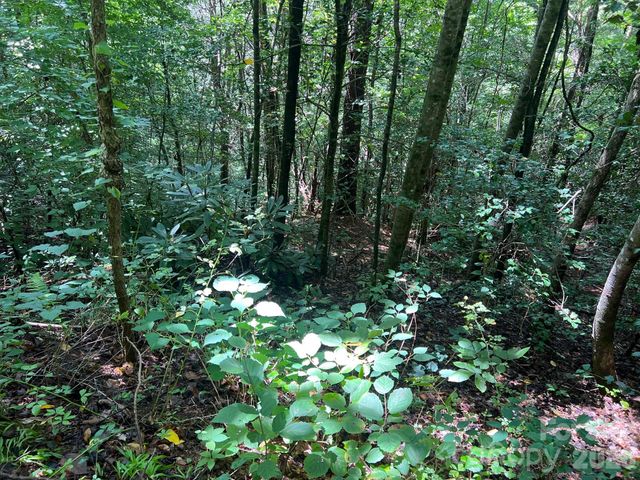 0 Old Johns River Road, Collettsville, NC 28611