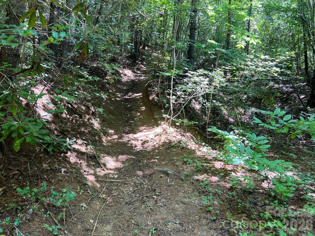 0 Old Johns River Road, Collettsville, NC 28611
