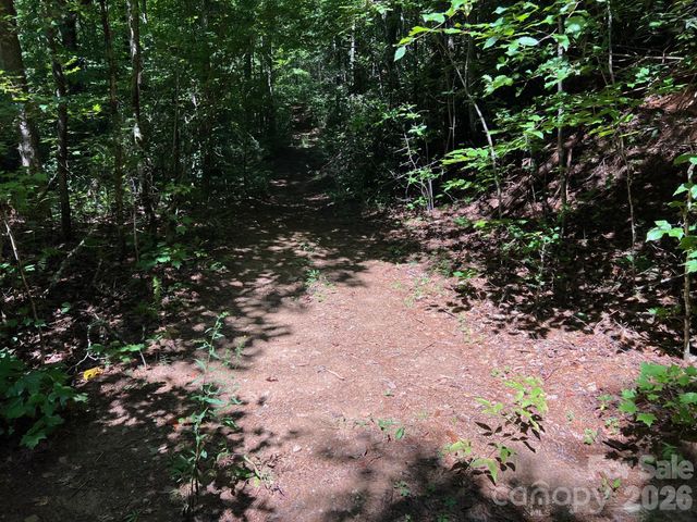 0 Old Johns River Road, Collettsville, NC 28611