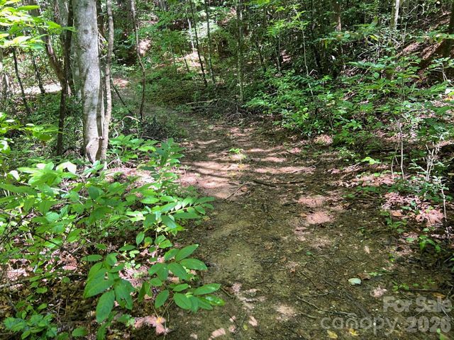 0 Old Johns River Road, Collettsville, NC 28611
