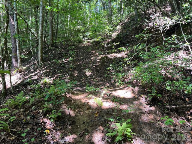 0 Old Johns River Road, Collettsville, NC 28611
