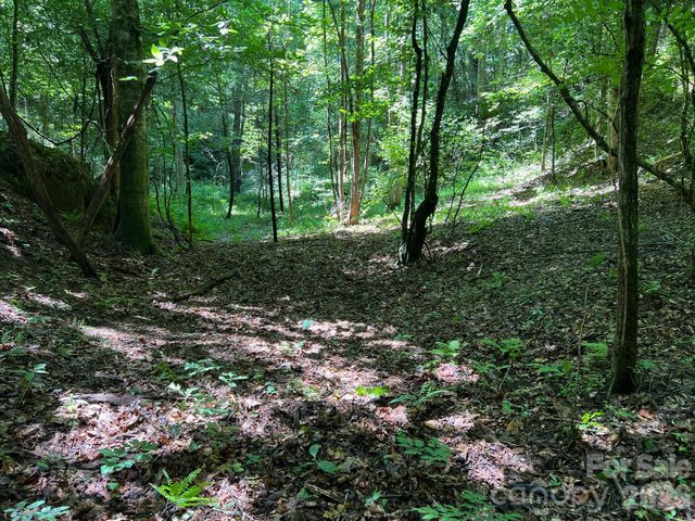 0 Old Johns River Road, Collettsville, NC 28611