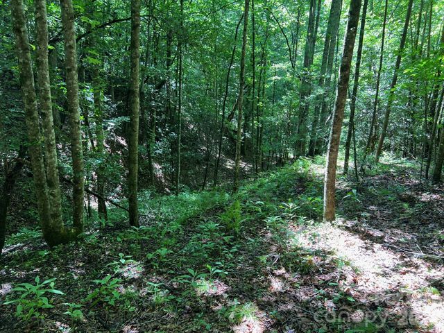 0 Old Johns River Road, Collettsville, NC 28611