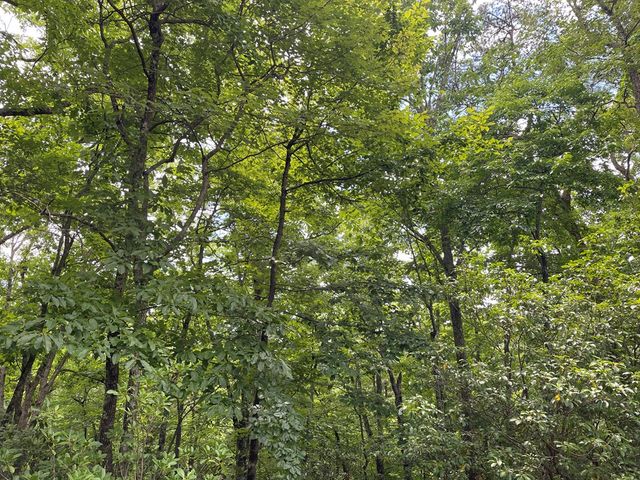 Lot 57 Asheland Overlook, Young Harris, GA 30582
