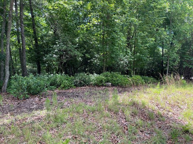 Lot 57 Asheland Overlook, Young Harris, GA 30582