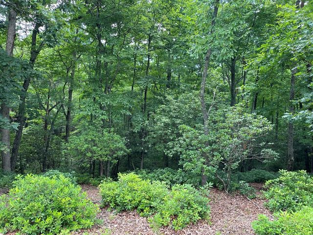 Lot 57 Asheland Overlook, Young Harris, GA 30582