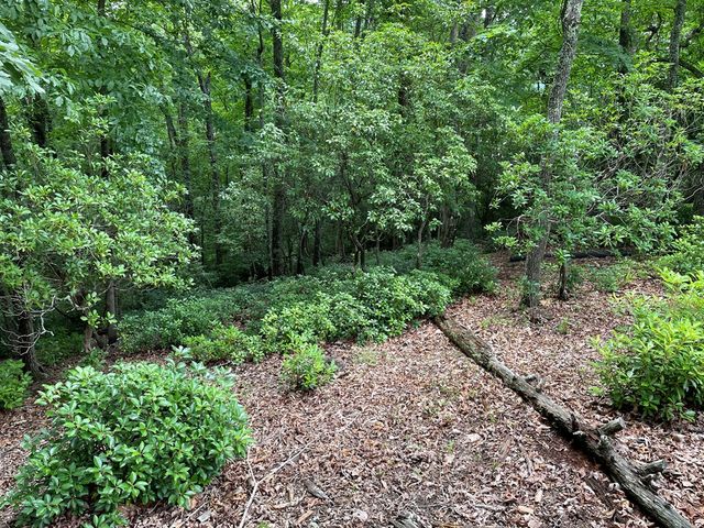 Lot 57 Asheland Overlook, Young Harris, GA 30582