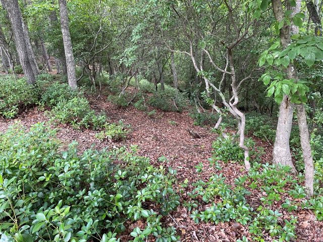 Lot 57 Asheland Overlook, Young Harris, GA 30582