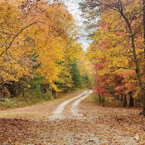 3225 Back Acres Road, Efland, NC 27243