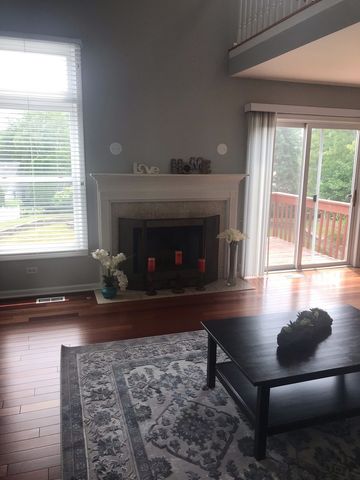 315 Spring Point Drive, Carpentersville, IL 60110