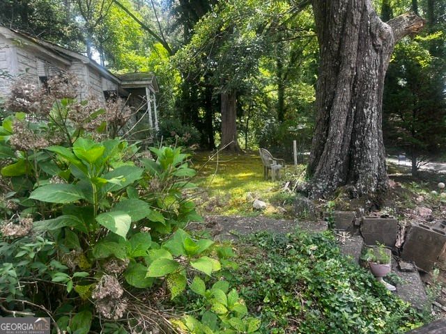 173 Pear Valley Drive, Clarkesville, GA 30523