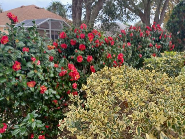 21142 EDINBOROUGH PLACE, Leesburg, FL 34748
