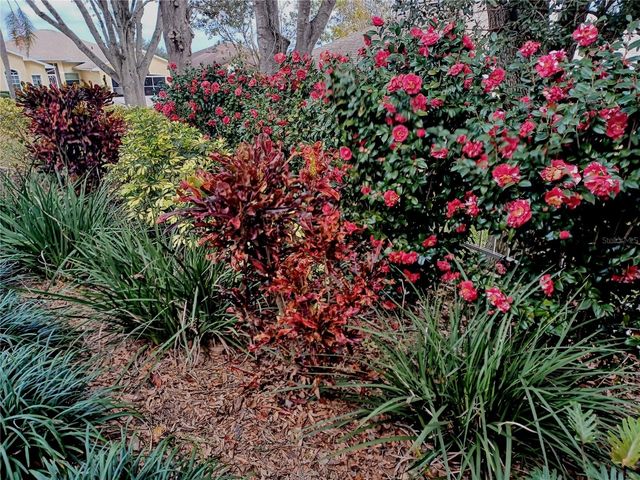 21142 EDINBOROUGH PLACE, Leesburg, FL 34748