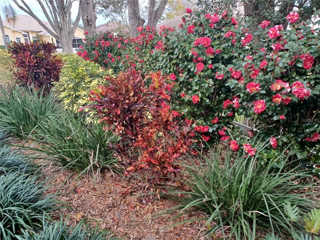 21142 EDINBOROUGH PLACE, Leesburg, FL 34748