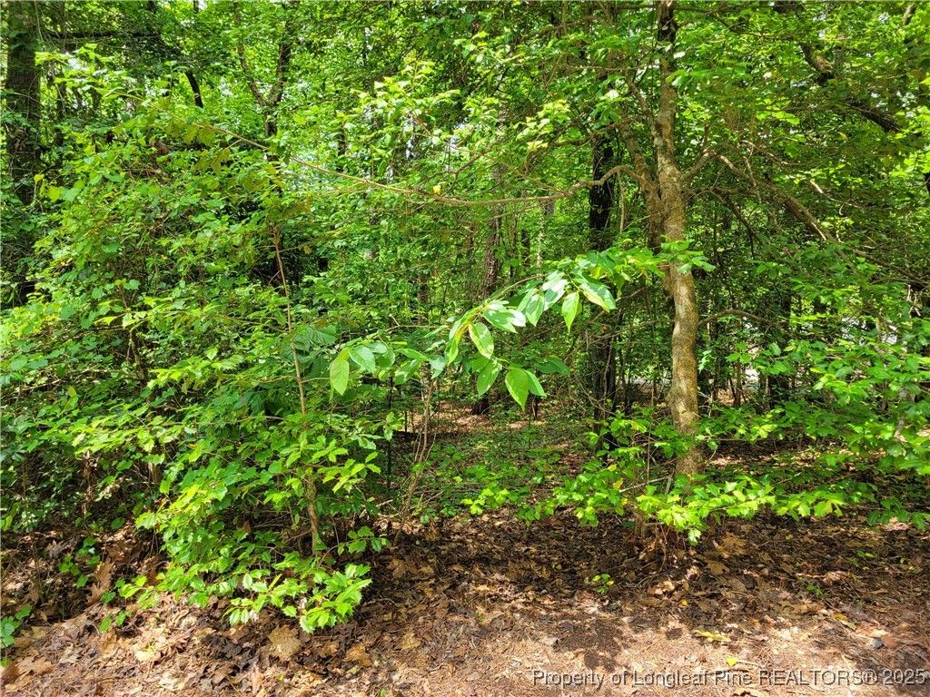 519 Perth Drive, Sanford, NC 27332