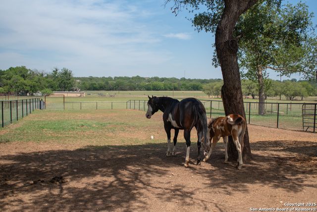 510 Patten DR, Johnson City, TX 78636