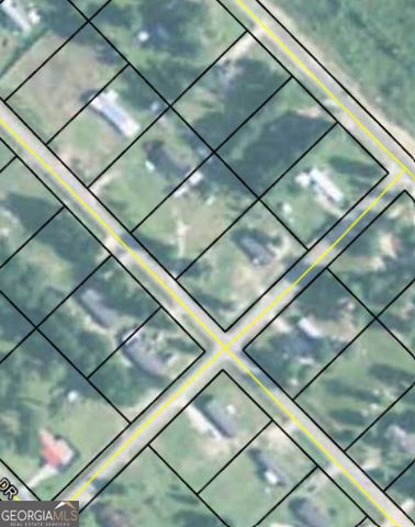 705 Geiger Street, Mount Vernon, GA 30445