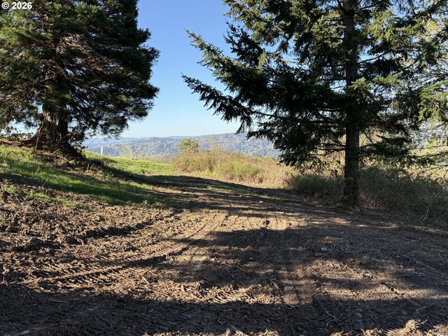 420 TOPEKA Rd, Kelso, WA 98626