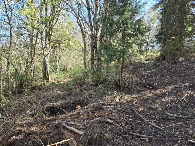 420 TOPEKA Rd, Kelso, WA 98626