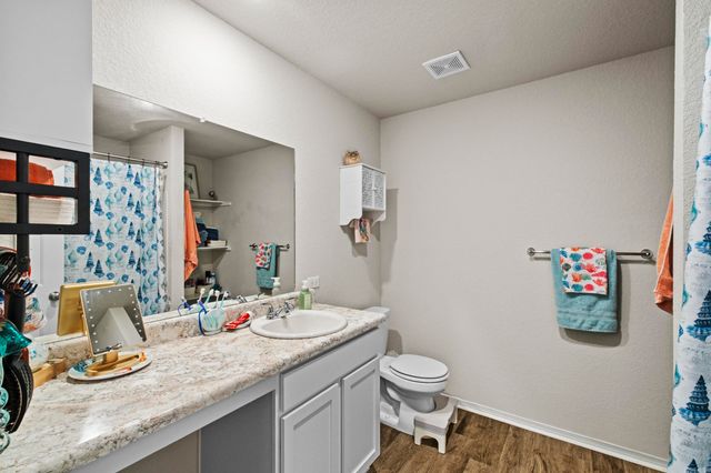 13 Sun Drenched Trail, Conway, AR 72032