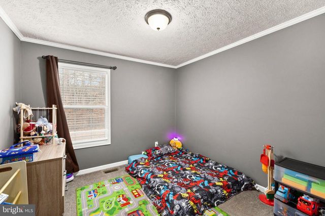 13115 ARCADIA RD, Woodford, VA 22580