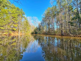 5 ac Lassater Rd, Centerville, TX 75833