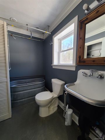 123 Wildwood Way, Forestburgh, NY 12777