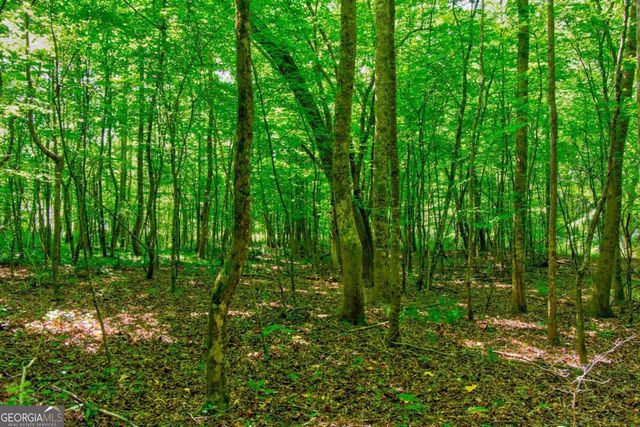 5.31 Tom Bell Odom Road, Dahlonega, GA 30533