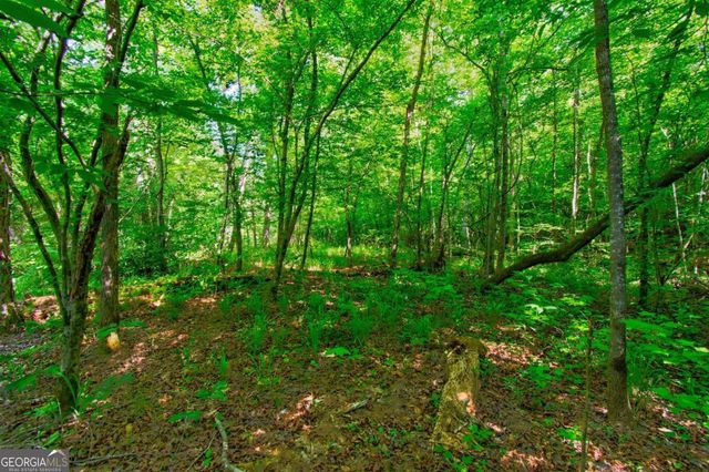 5.31 Tom Bell Odom Road, Dahlonega, GA 30533