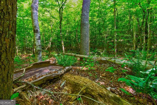 5.31 Tom Bell Odom Road, Dahlonega, GA 30533