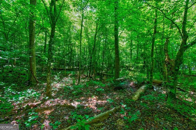 5.31 Tom Bell Odom Road, Dahlonega, GA 30533