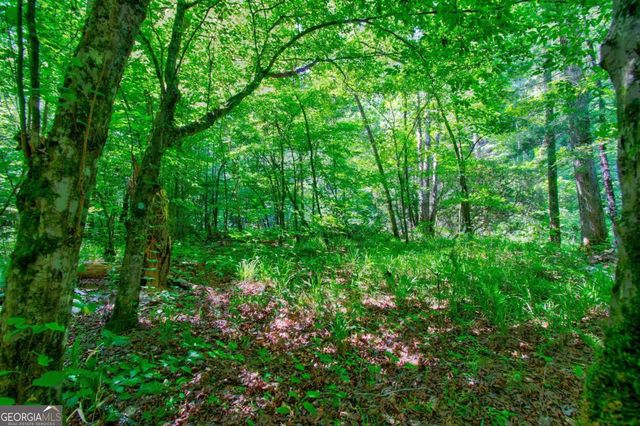 5.31 Tom Bell Odom Road, Dahlonega, GA 30533